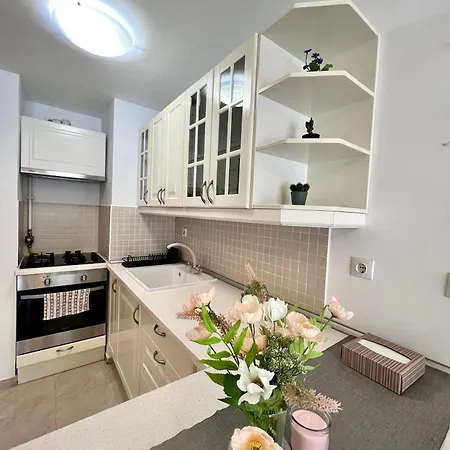 Blossom Nest - 1br With Terrace And Underground Parking * 布加勒斯特