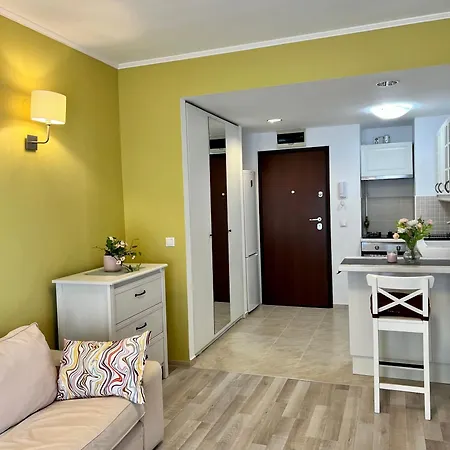 公寓 Blossom Nest - 1br With Terrace And Underground Parking 布加勒斯特
