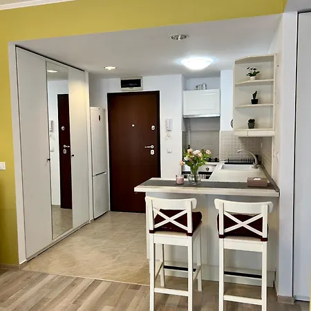 Blossom Nest - 1br With Terrace And Underground Parking 公寓 布加勒斯特