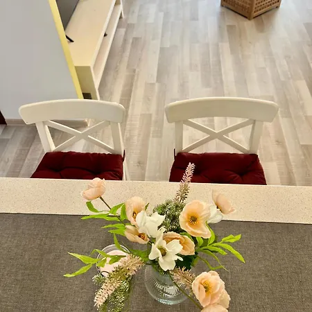 Blossom Nest - 1br With Terrace And Underground Parking * 布加勒斯特