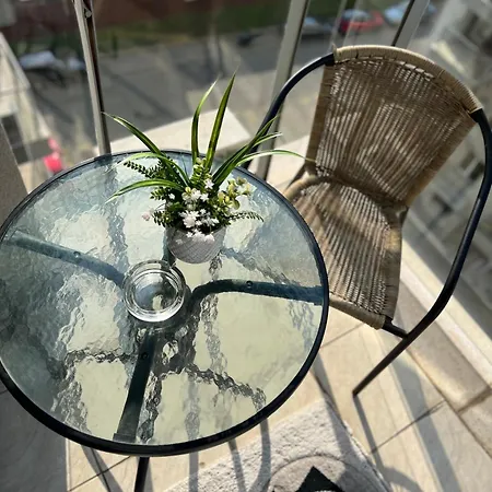 Blossom Nest - 1br With Terrace And Underground Parking