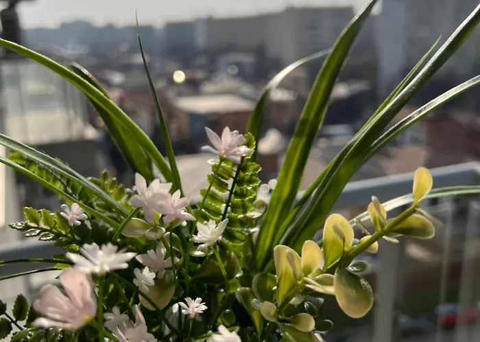 Blossom Nest - 1br With Terrace And Underground Parking Apartmán