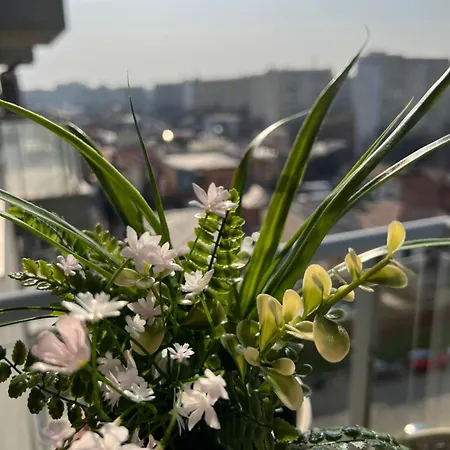 Blossom Nest - 1br With Terrace And Underground Parking Апартаменты